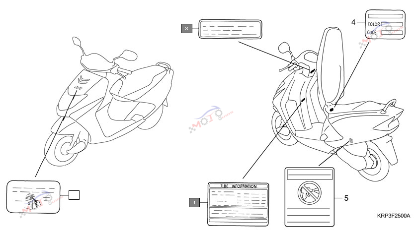Engine Diagram